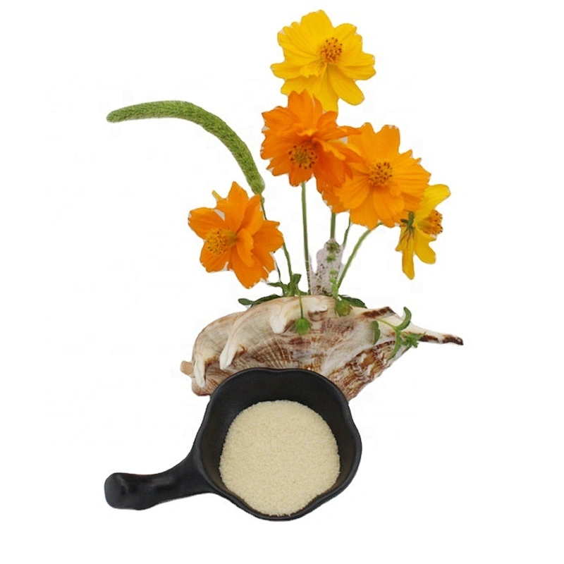 Halal Gelatin Food Additives High Quality Good Price Raw Material Gelatin Food CAS 9000-70-8
