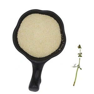 Halal Gelatin Food Additives High Quality Good Price Raw Material Gelatin Food CAS 9000-70-8